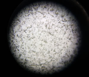 réplicas metlográficas